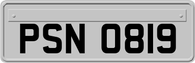 PSN0819