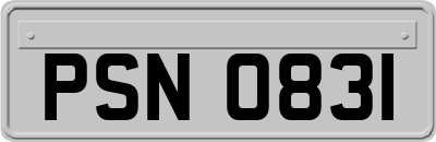PSN0831