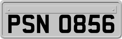 PSN0856