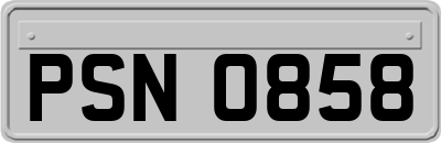 PSN0858