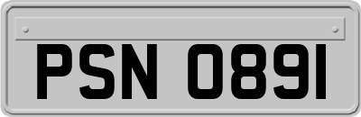PSN0891