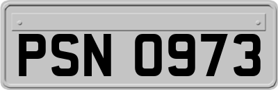 PSN0973
