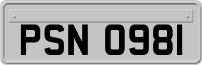 PSN0981