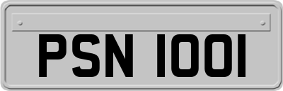 PSN1001