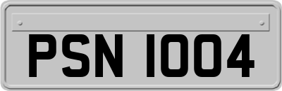 PSN1004