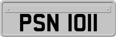 PSN1011