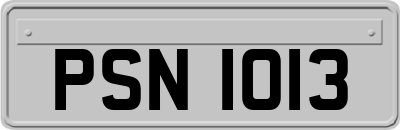 PSN1013