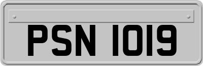 PSN1019