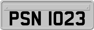 PSN1023