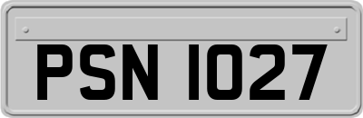 PSN1027