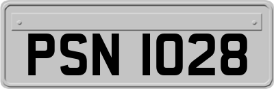 PSN1028
