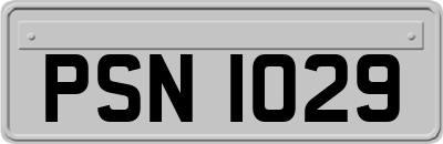 PSN1029