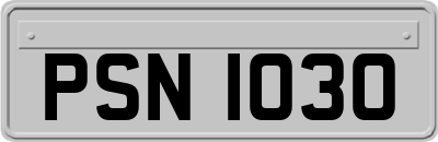 PSN1030