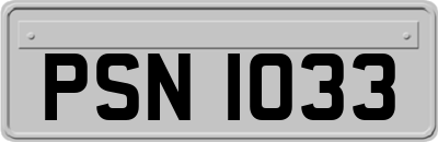 PSN1033