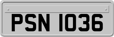 PSN1036