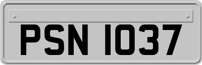PSN1037