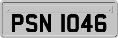 PSN1046