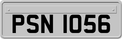PSN1056