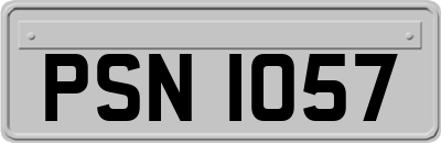 PSN1057