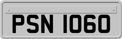 PSN1060