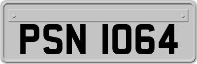 PSN1064
