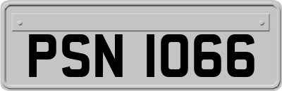 PSN1066