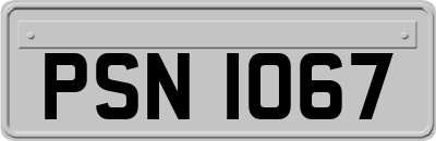 PSN1067