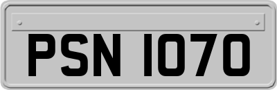 PSN1070