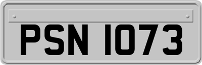 PSN1073