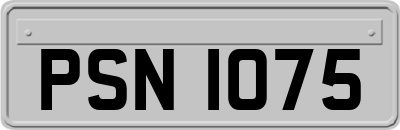 PSN1075