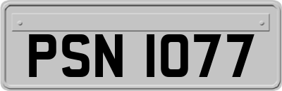 PSN1077