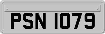 PSN1079