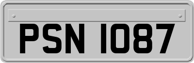 PSN1087