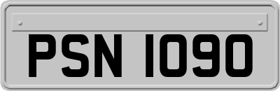 PSN1090