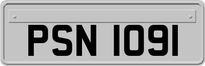 PSN1091