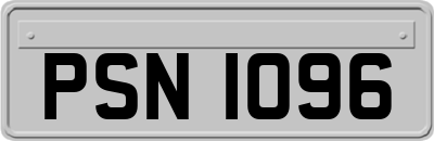 PSN1096