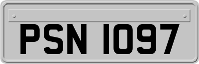 PSN1097