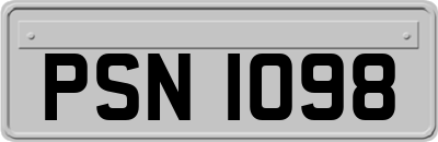 PSN1098