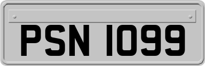 PSN1099