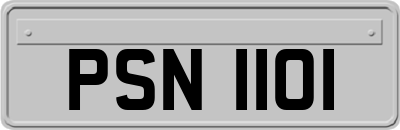 PSN1101