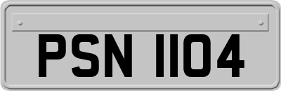 PSN1104