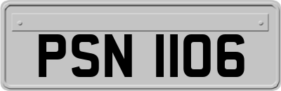 PSN1106