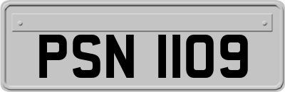 PSN1109