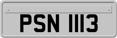 PSN1113