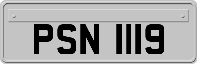 PSN1119