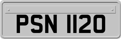 PSN1120
