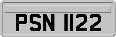 PSN1122