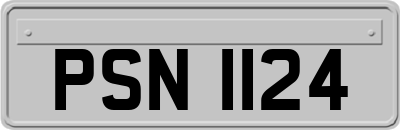 PSN1124