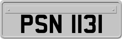 PSN1131