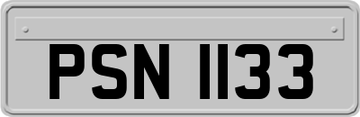 PSN1133